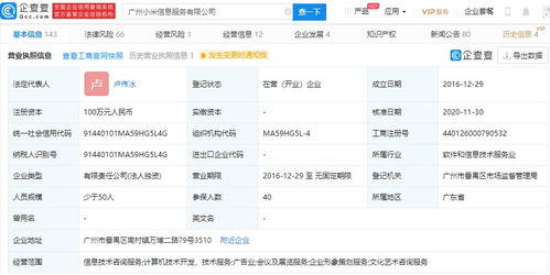 小米高層調整 王川退出廣州信息服務公司，盧偉冰接任，強化信息技術咨詢業務布局